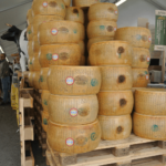 Parmigiano Reggiano toren kaas. Italiaanse kaasproeverij op locatie, super leuk!