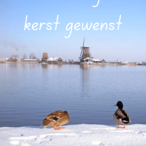 kerstkaart 2024