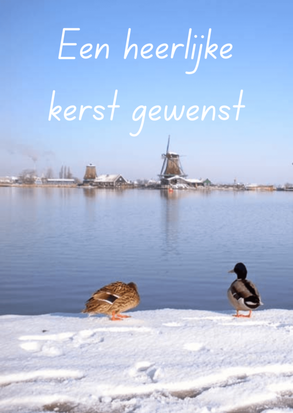 kerstkaart 2024